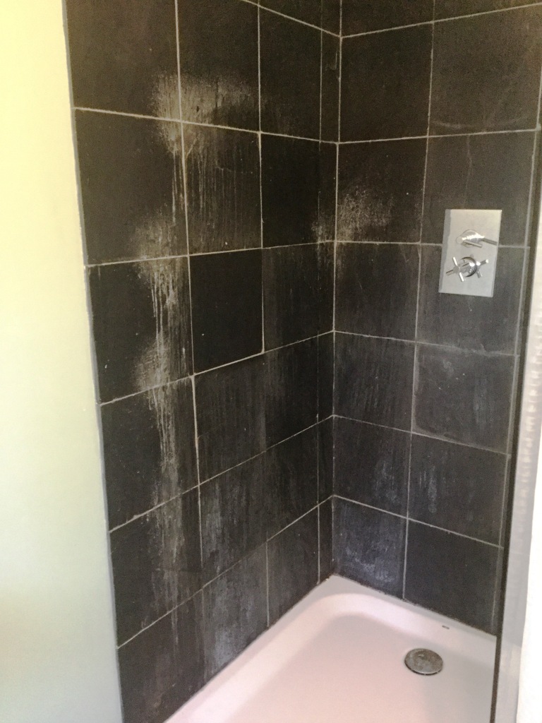 Black Limestone Shower Cubicle Before Cleaning Everdon Vilage